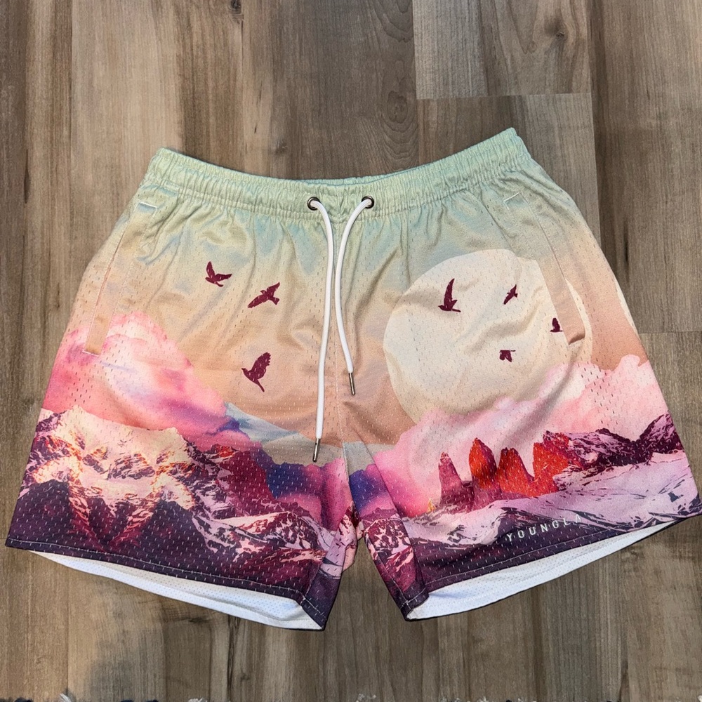 YoungLA double meshed Men's Shorts - 141 The Block Party Shorts